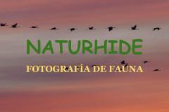 A-Naturhide-Carrusel127