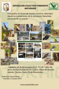Cartel Exposición itinerante Naturhide Pedralba