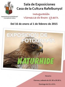 Cartel Exposición Naturhide Rafelbuñol (Castellano)