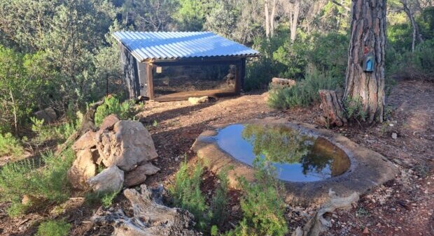 Hide «Los Altillos 2» Motilla del Palancar (Cuenca)